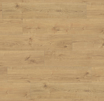 Ламинат Haro Tritty 100 Campus 4V Дуб Портлэнд Пуро 544751 фото 1 | FLOORDEALER