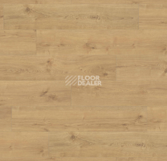 Ламинат Haro Tritty 100 Campus 4V Дуб Портлэнд Пуро 544751 фото 1 | FLOORDEALER