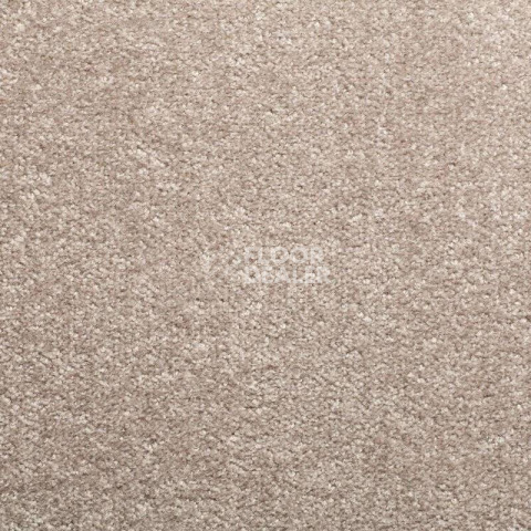 Ковролин Sintelon Spark 31554 фото 1 | FLOORDEALER