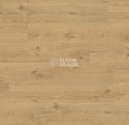 Ламинат Haro Tritty 100 Campus 4V Дуб Портлэнд Пуро 544751 фото 1 | FLOORDEALER