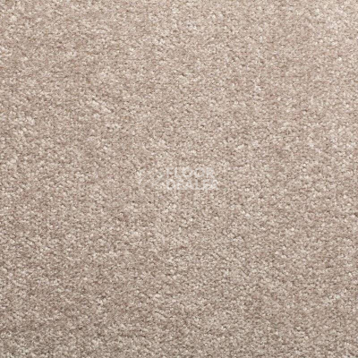 Ковролин Sintelon Spark 31554 фото 1 | FLOORDEALER