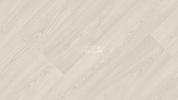 Линолеум Tarkett Philosophy Belmond 5 фото 1 | FLOORDEALER