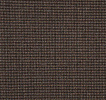 Ковролин Carpet Concept Eco 500 6954 фото 1 | FLOORDEALER