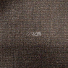 Ковролин Carpet Concept Eco 500 6954 фото 1 | FLOORDEALER