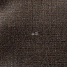 Carpet Concept Eco 500 6954 фото 1 | FLOORDEALER