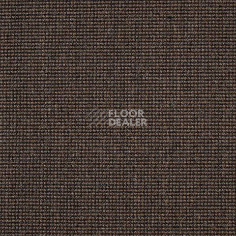 Ковролин Carpet Concept Eco 500 6954 фото 1 | FLOORDEALER
