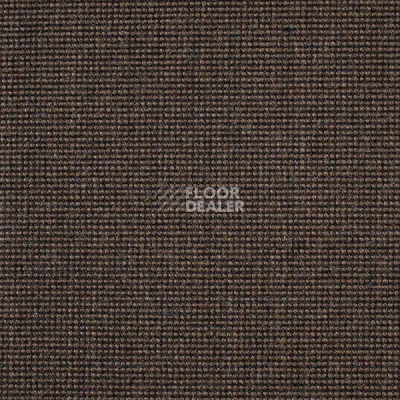 Ковролин Carpet Concept Eco 500 6954 фото 1 | FLOORDEALER