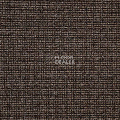 Ковролин Carpet Concept Eco 500 6954 фото 1 | FLOORDEALER