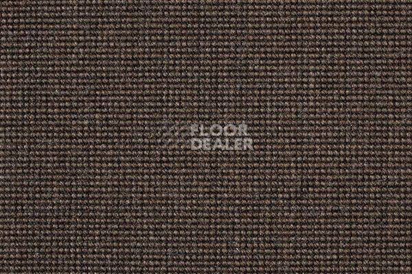 Ковролин Carpet Concept Eco 500 6954 фото 1 | FLOORDEALER