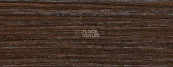 Плинтус Dollken EP 60/13 2555 фото 2 | FLOORDEALER