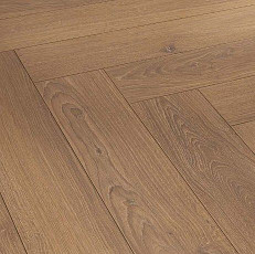 Ламинат Parador Trendtime 3 1744701 Дуб Studioline Мед фото 1 | FLOORDEALER