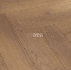 Ламинат Parador Trendtime 3 1744701 Дуб Studioline Мед фото 1 | FLOORDEALER