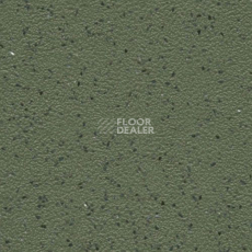 Линолеум Grabo Omnis 2.0 7448_05_228 фото 1 | FLOORDEALER