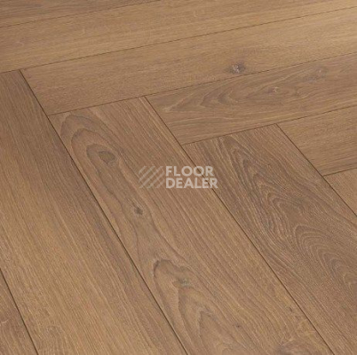 Ламинат Parador Trendtime 3 1744701 Дуб Studioline Мед фото 1 | FLOORDEALER