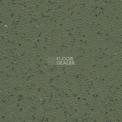 Линолеум Grabo Omnis 2.0 7448_05_228 фото 1 | FLOORDEALER