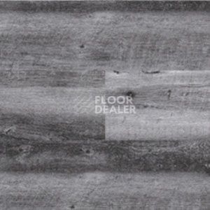 Линолеум Polyflor Expona Wood 6180 фото 1 | FLOORDEALER