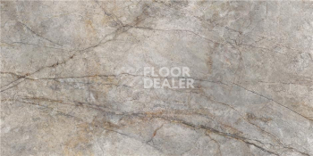 Керамогранит Rain Forest 59 x 119 Rain Forest Natural Pulido 59X119 Rect фото 1 | FLOORDEALER