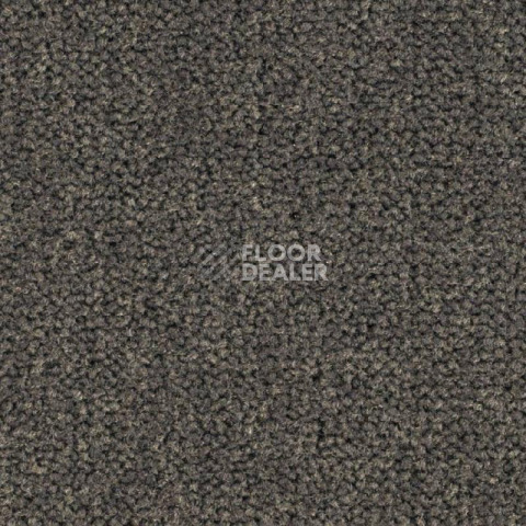 Ковролин Balsan Les Best 790 фото 1 | FLOORDEALER