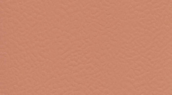 Recreation 60 Uni 6157_Rosa фото 1 | FLOORDEALER