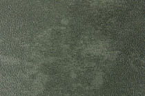 Forbo Emerald Standart 72420 фото 2 | FLOORDEALER