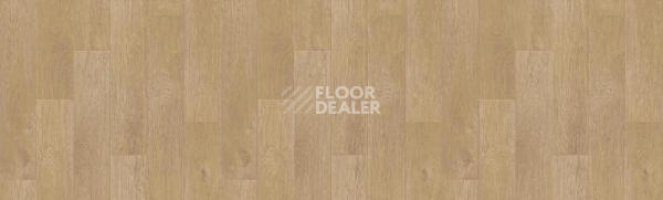 Линолеум Tarkett Kvazar GIBSON1 фото 1 | FLOORDEALER
