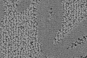 Ковролин Balsan Hanoi 920 фото  | FLOORDEALER