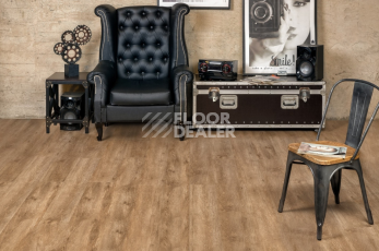 Alpine Floor Grand Sequoia Light 3.5мм Клауд ECO11-1001 фото 2 | FLOORDEALER