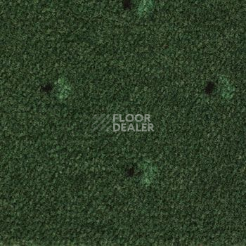 Ковролин Pullman Associated Weavers 24 фото 1 | FLOORDEALER