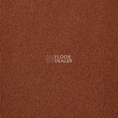 Ковролин Big Splendor 956 фото 1 | FLOORDEALER