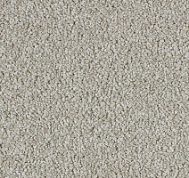 Ковролин Lano Soft Perfection 432 фото 1 | FLOORDEALER