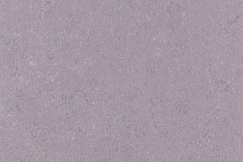 Линолеум Forbo Marmoleum Solid Concrete 3730-373035 Stella фото 1 | FLOORDEALER