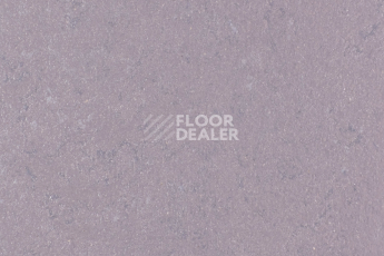 Линолеум Forbo Marmoleum Solid Concrete 3730-373035 Stella фото 1 | FLOORDEALER