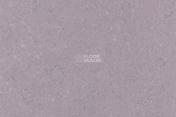 Линолеум Forbo Marmoleum Solid Concrete 3730-373035 Stella фото 1 | FLOORDEALER