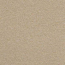 Ковролин AW Confidence 37  | FLOORDEALER