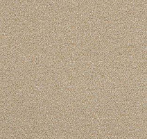 Ковролин AW Confidence 37 фото 1 | FLOORDEALER