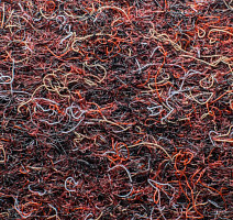 Ковролин Forbo Markant 11126 Merlot фото 1 | FLOORDEALER