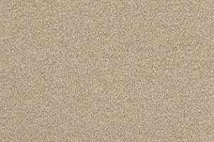 Ковролин AW Confidence 37 фото  | FLOORDEALER