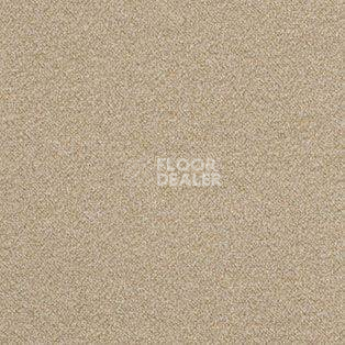 Ковролин AW Confidence 37 фото 1 | FLOORDEALER