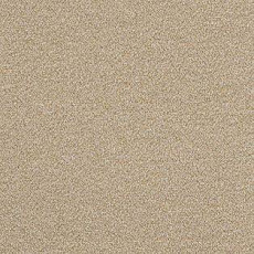 Ковролин AW Confidence 37 фото 1 | FLOORDEALER