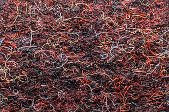 Ковролин Forbo Markant 11126 Merlot фото 1 | FLOORDEALER