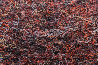 Ковролин Forbo Markant 11126 Merlot фото 1 | FLOORDEALER