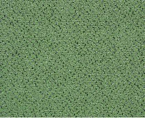 Ковролин Balta ITC Hercules 26 фото 1 | FLOORDEALER