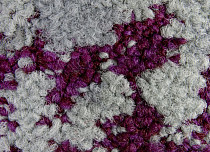 Ковровая плитка ColorKey ColorKey b 05 фото 1 | FLOORDEALER