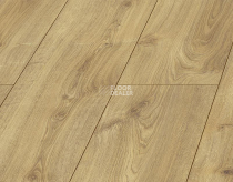 Kronopol Platinium Holiday AQUA BLOCK 8mm Kronopol Platinium Holiday Aqua Block 24h Дуб Тайланд D40164 фото 2 | FLOORDEALER