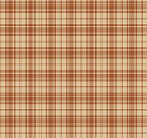 Ковролин Agnella Creation Tenin Mango фото 1 | FLOORDEALER