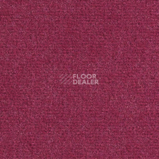 Ковролин Balsan Sydney DD 560 фото 1 | FLOORDEALER