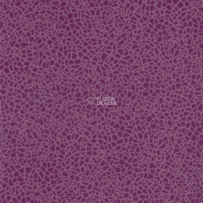 Grabo Acoustic 7 Colour 388_668_275 фото 1 | FLOORDEALER