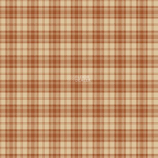 Agnella Creation Tenin Mango фото 1 | FLOORDEALER