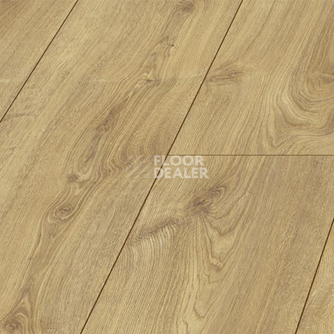 Kronopol Platinium Holiday AQUA BLOCK 8mm Kronopol Platinium Holiday Aqua Block 24h Дуб Тайланд D40164 фото 2 | FLOORDEALER
