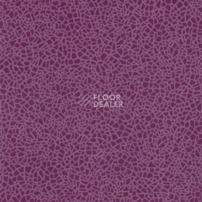 Линолеум Grabo Acoustic 7 Colour 388_668_275 фото 1 | FLOORDEALER